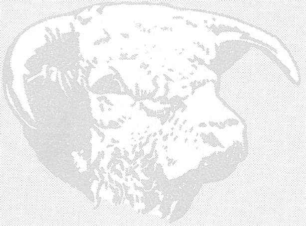 Asociaci�n Hereford Mexicana